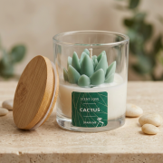 Cactus | Mini